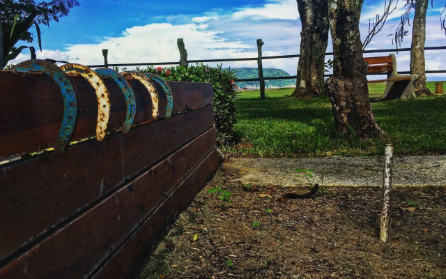 Tambor Tropical - Adults Only