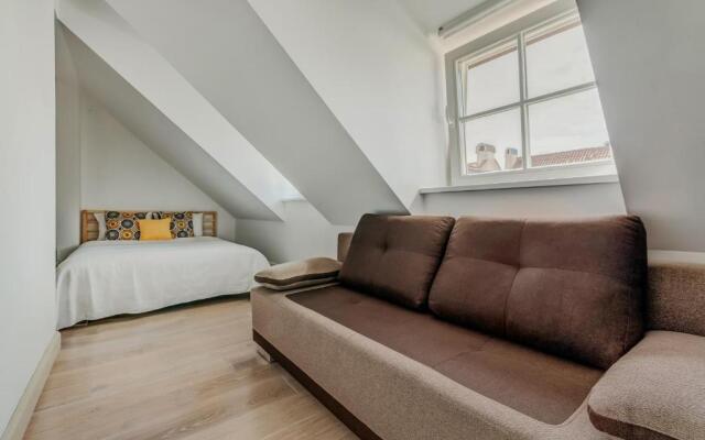 Spacious - 140 square meters Apartment, Vilnius City Centre