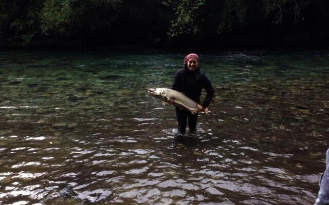 Entre Esteros Hornopiren