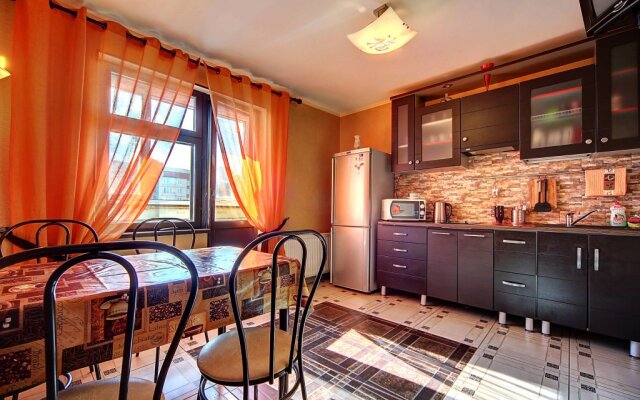 U Ledovogo Dvortsa Apartments