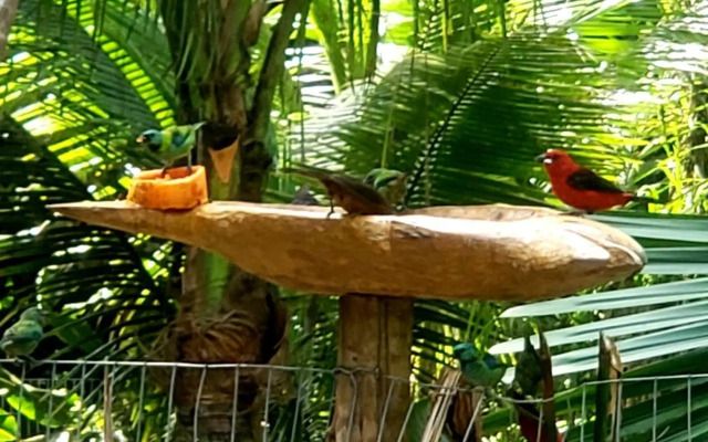 Casa do barco azul em ubatumirim