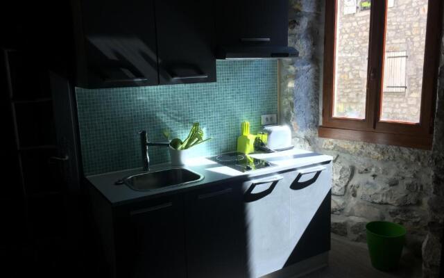 l'oiseau vert design