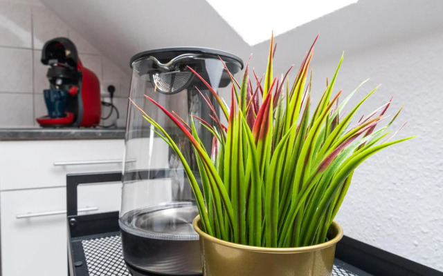 Schöne Dachterasse NETFLIX & PRIME Zentral Modern bis 4 Pers