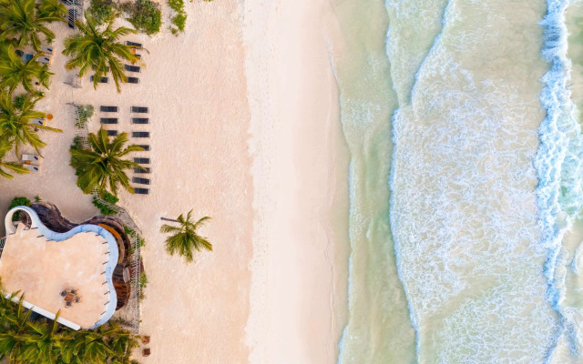 Secrets Tulum Resort & Beach Club - Adults Only - All Inclusive