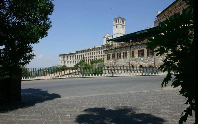 Windsor Savoia