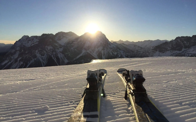 Alpenstern Lermoos