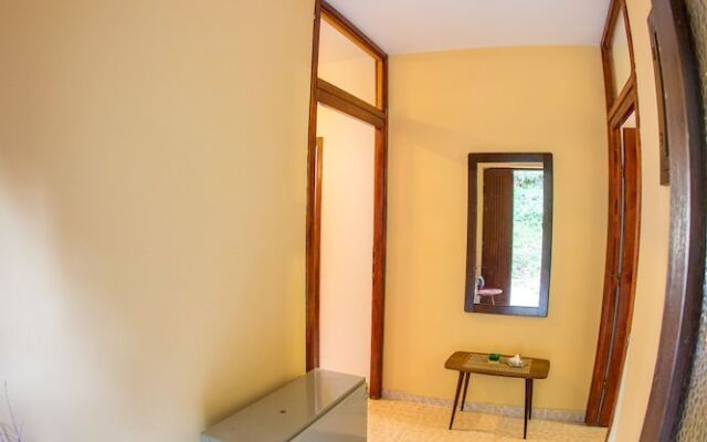 Budva Apartments