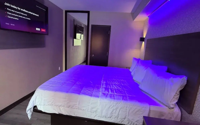 The Vine Hotel Bronx