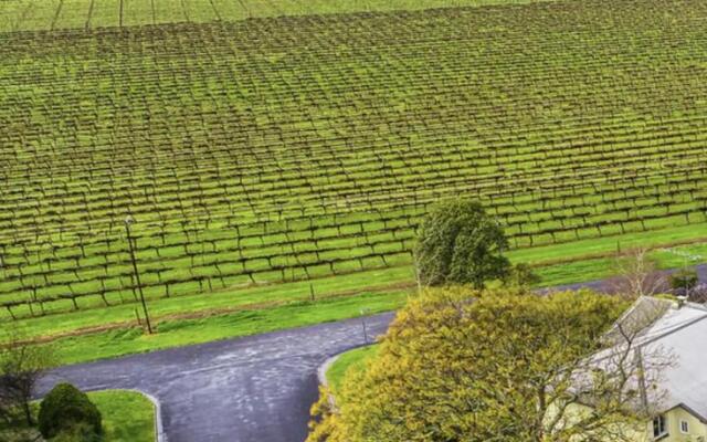 A Penola-Coonawarra Villa