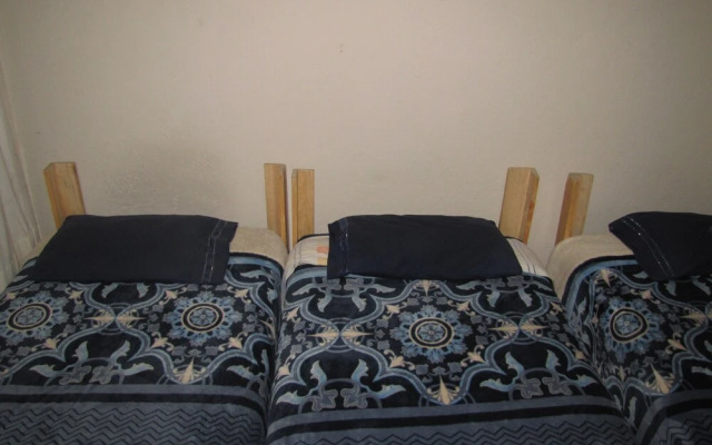 Guest Green - Adults Only - Hostel
