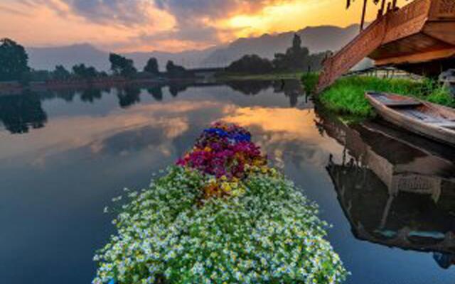 Houseboat New Golden Flower