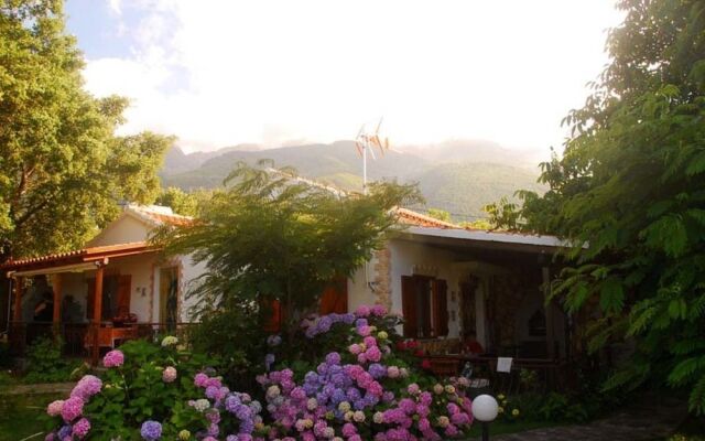 Alekas Studios