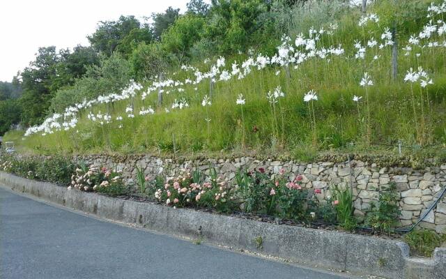 Appartamento e Camere Cerreta - Carro