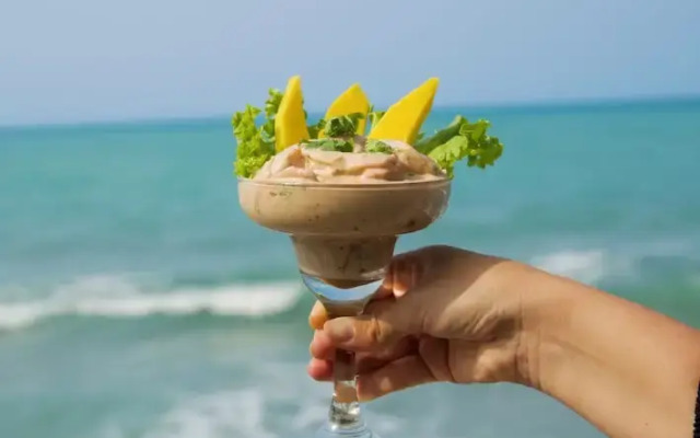 coconuco beach palomino