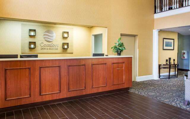 Comfort Inn & Suites at Stone Mountain