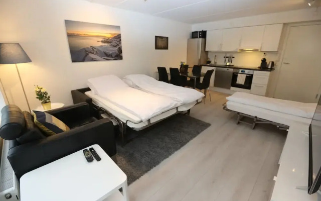 Sentral 3 roms top leilighet med gratis parkering