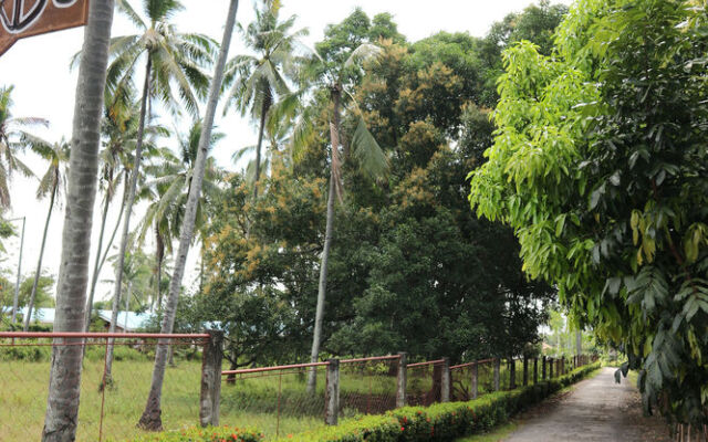 Dumaguete Springs Beach Resort