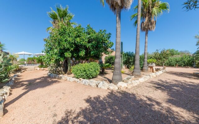 Sa Marina (Marina Des Torrent)