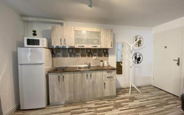 Urseni Studio Apartment