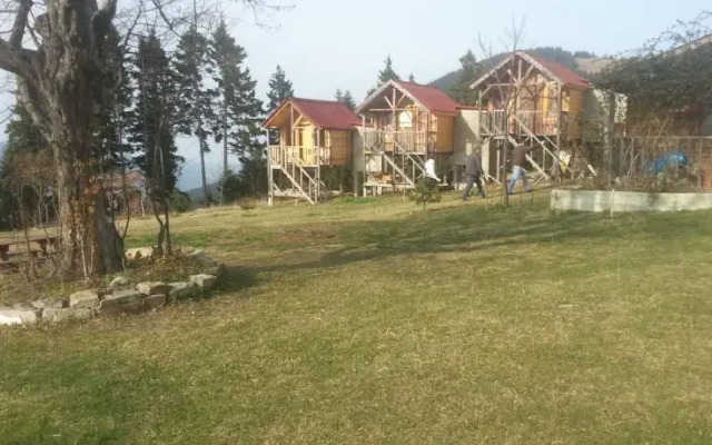 Pilavdagi Tatil Koyu