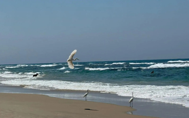 GO to apartments in Leonardo