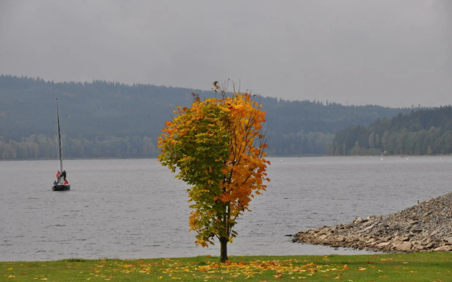 Studio Apartments Lipno 22, 24