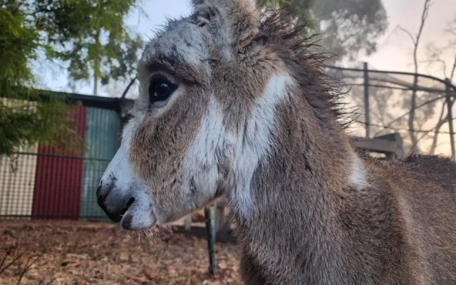 Silversprings cottages
