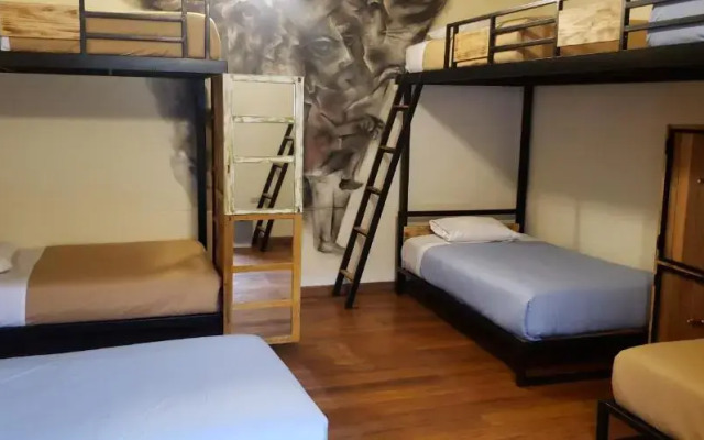 Milhouse Hostel Cusco
