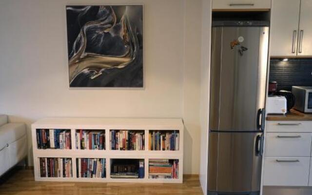Reykjavik Central Apartments