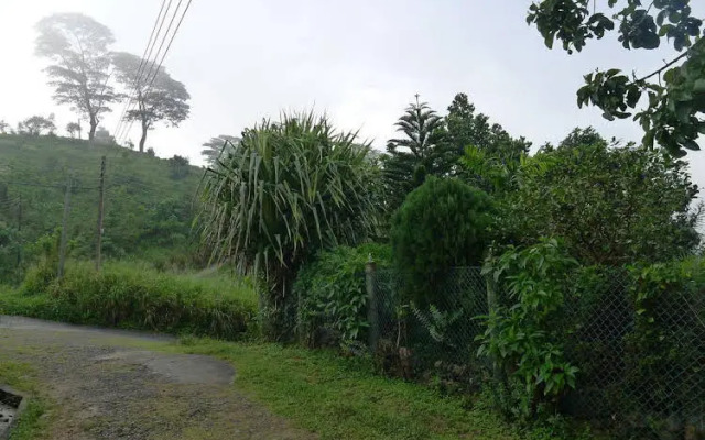 Misty Hills Bungalow