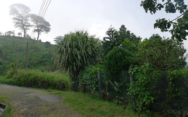 Misty Hills Bungalow