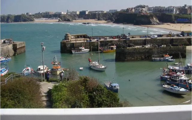 The Harbour