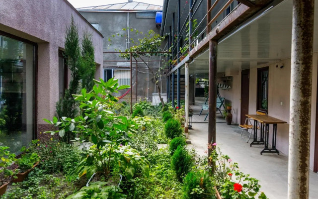 The Kiwi House