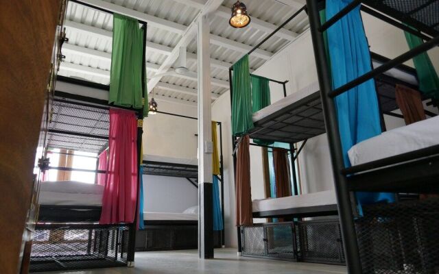 Casa Oro Eco Hostel
