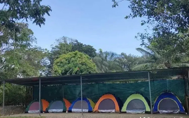 Zompopas Trail