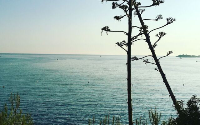 Bastide Sainte Trinide