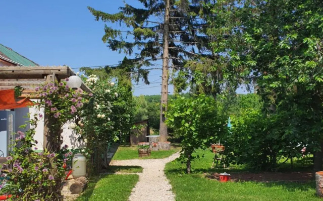 Hungarian Country Camping - Tranquil Pines Camping and Caravan Site