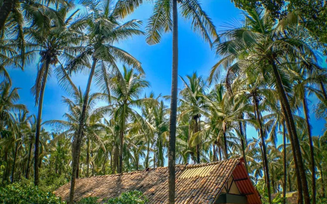The Orchard Resort
