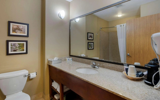 Comfort Suites Anchorage International Airport