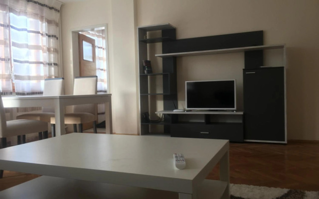 Stylish spacious flat