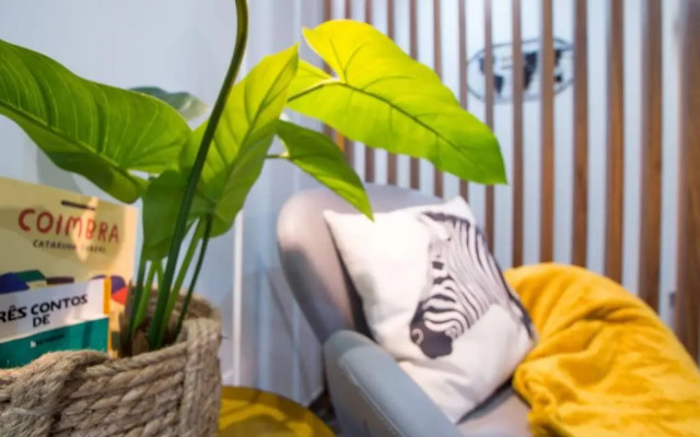 Modern Apartment in Coimbra City Center