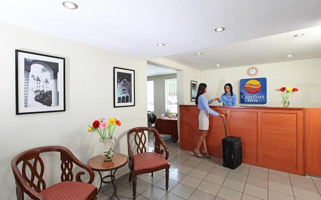 Comfort Inn Real San Miguel