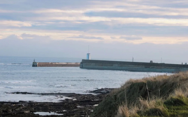 Glenavon