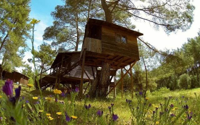 Olympos Woods - Adults Only