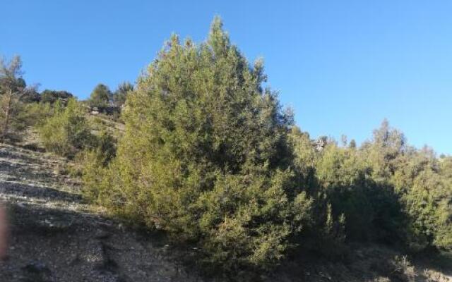 Casa rural Isabel y Fernando