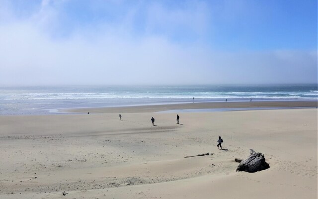 Knee Deep In Paradise