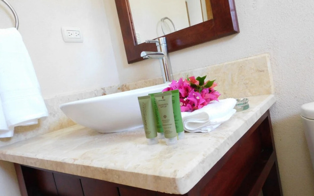 Spectacular Penthouse Ocean Views. Playa Bavaro. Punta Cana