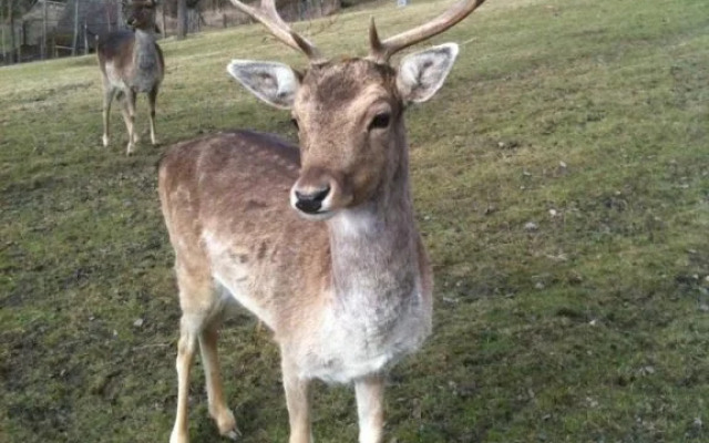 Schlossbrauerei Weinberg - Erste oö. Gasthausbrauerei