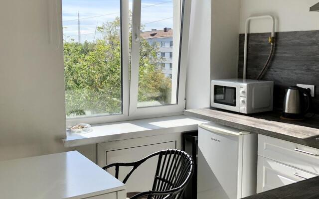 Apartments on Lenin Avenue 75