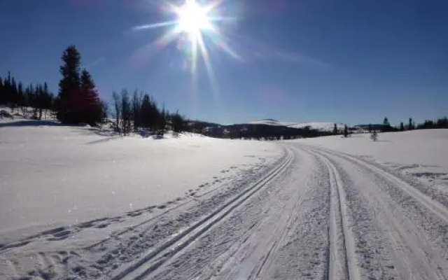 Nystølen Hyttegrend